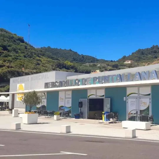 mercado-de-puntallana-768x540
