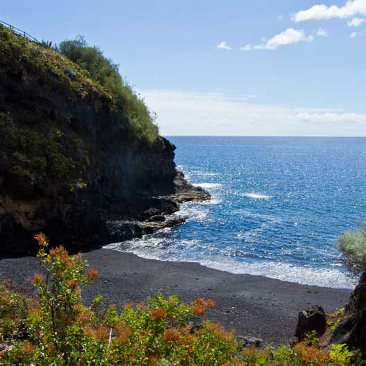 puerto-de-trigo-2